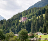 Tiroler Steinbockzentrum Foto: Lukas Schaller