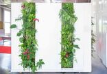 Planum®Living Green