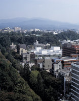 21st Century Museum of Contemporary Art Kanazawa Foto: Hisao Suzuki