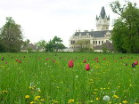 Schlosspark Grafenegg Foto: Land in Sicht