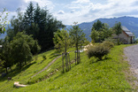 Naturkindergarten Lingenau Foto: Petra Rainer