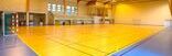 Omnisports / Tarkett Holding GmbH