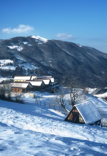 Foto: Miran Kambič