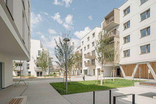 Campo Breitenlee, Foto: Hertha Hurnaus