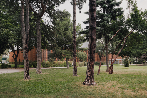 Foto: Patrick Johannsen