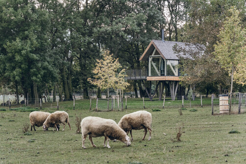 Zen House, Foto: Jakub Hrab