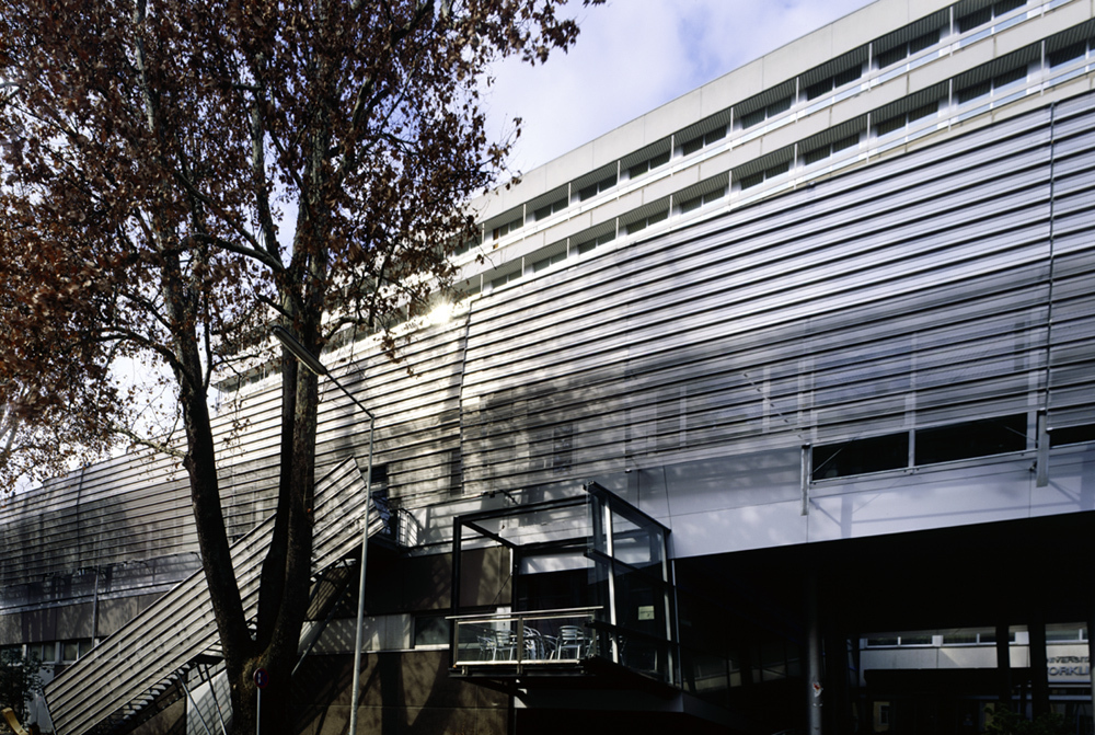 Ein Foto von Marko Lipus