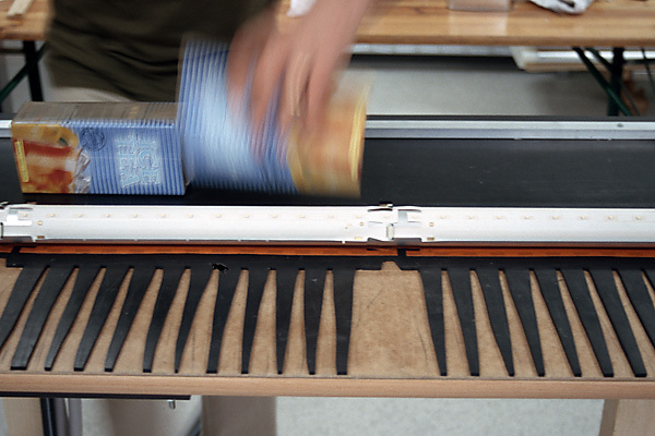 Ein Foto von Roger Frei