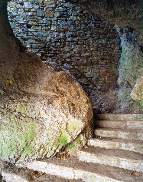 Ein Foto von Roger Frei