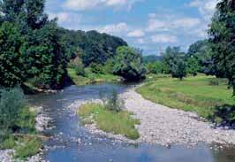 Ein Foto von Lada Blazevic