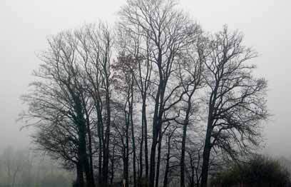 Ein Foto von raderschallpartner ag