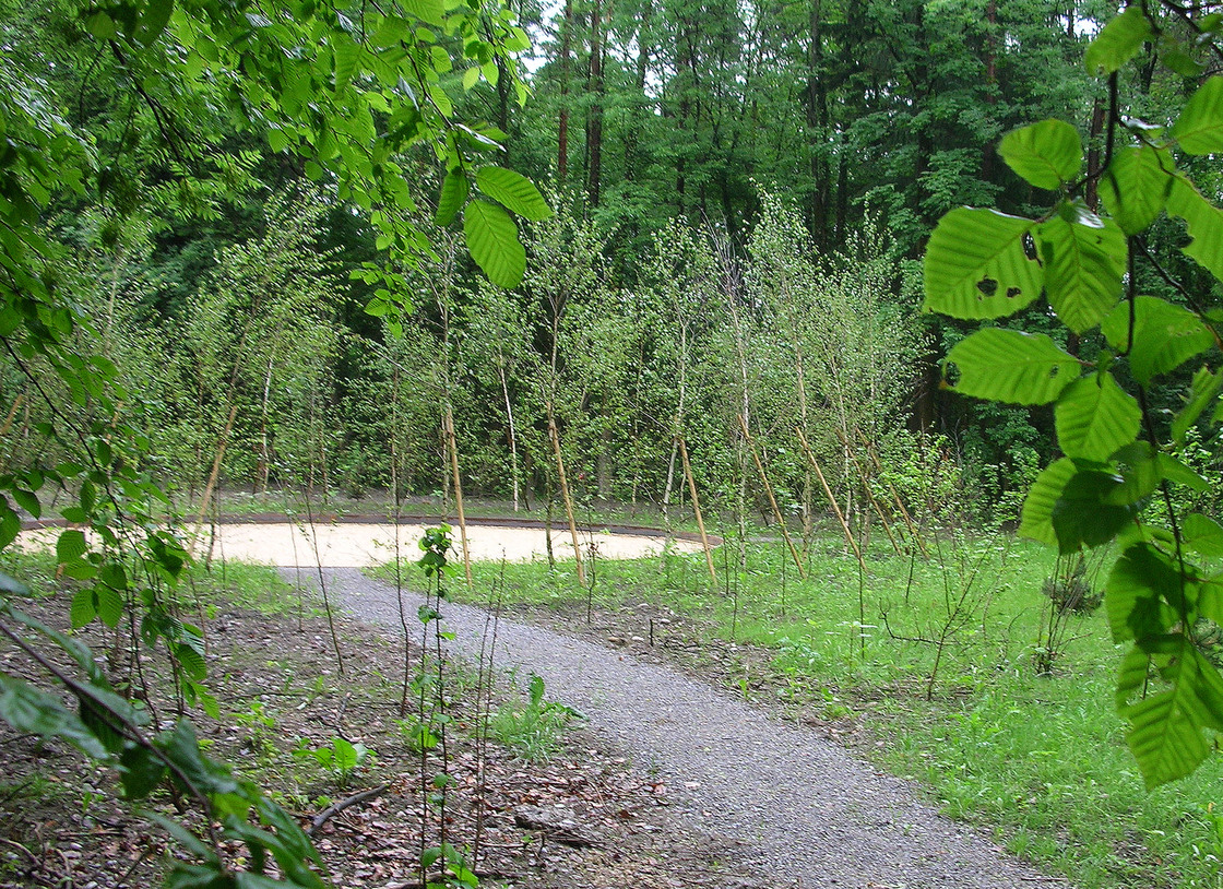 Ein Foto von Rotzler Krebs Partner