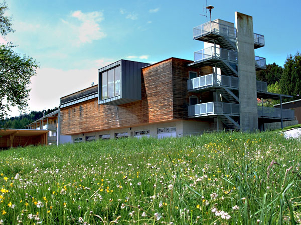 Ein Foto von Christine Kees