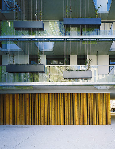 Ein Foto von Angelo Kaunat