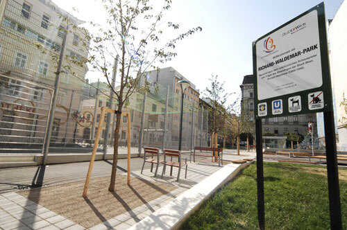 Ein Foto von Steve Haider