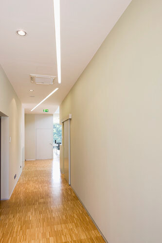 Ein Foto von Paul Ott