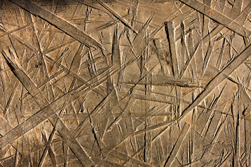 Ein Foto von Tamás Bujnovszky