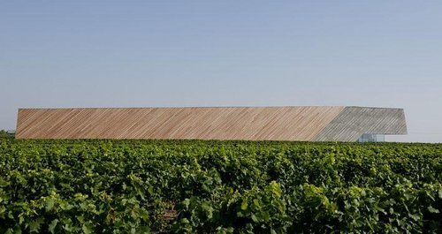 Ein Foto von Hertha Hurnaus