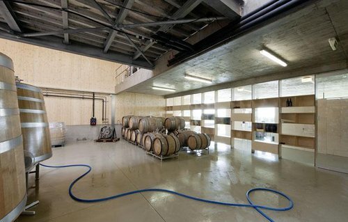 Ein Foto von Hertha Hurnaus