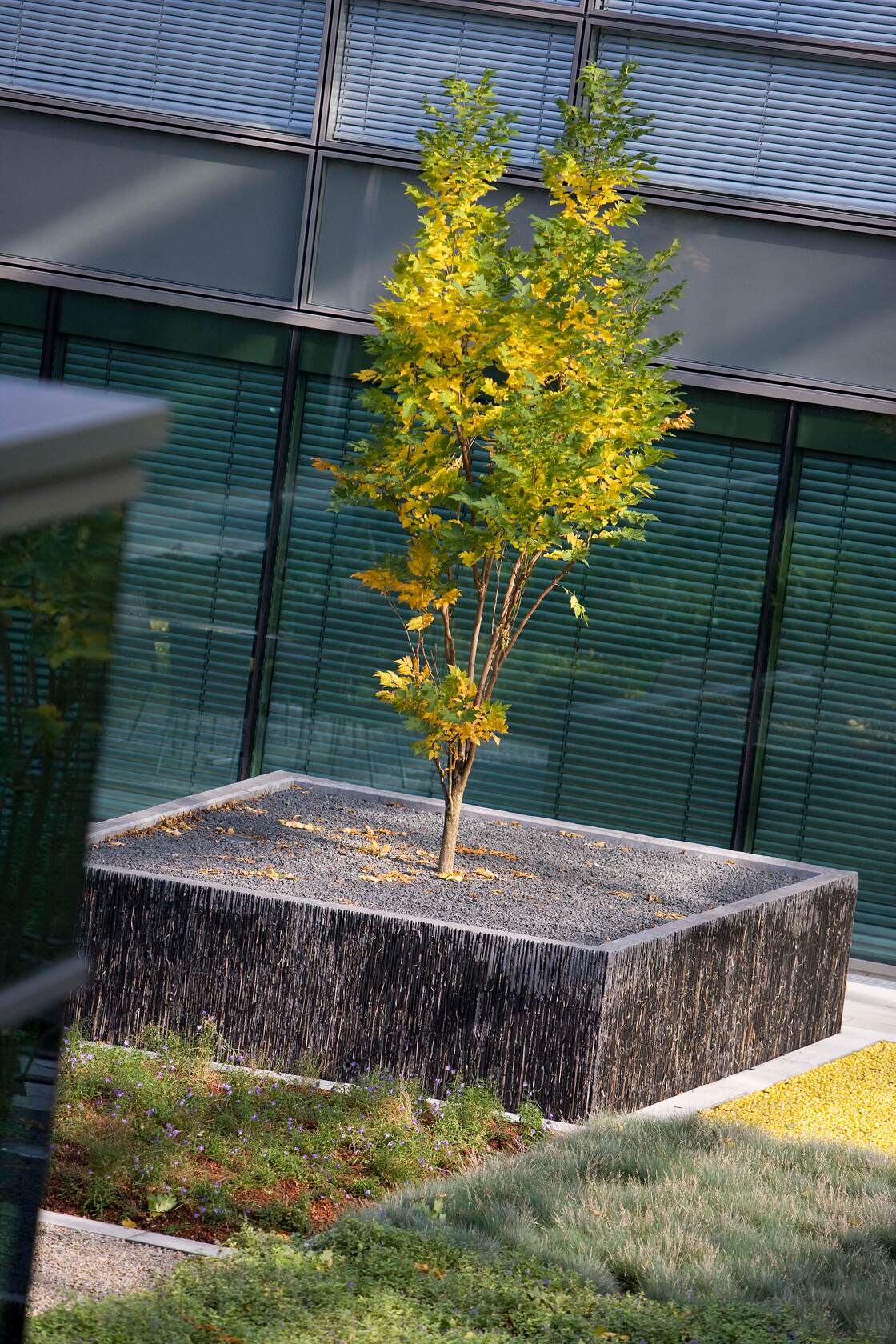 Ein Foto von Manfred Seidl