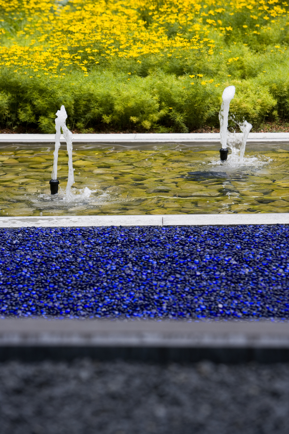 Ein Foto von Manfred Seidl