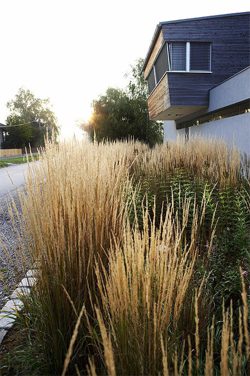 Ein Foto von Manfred Seidl