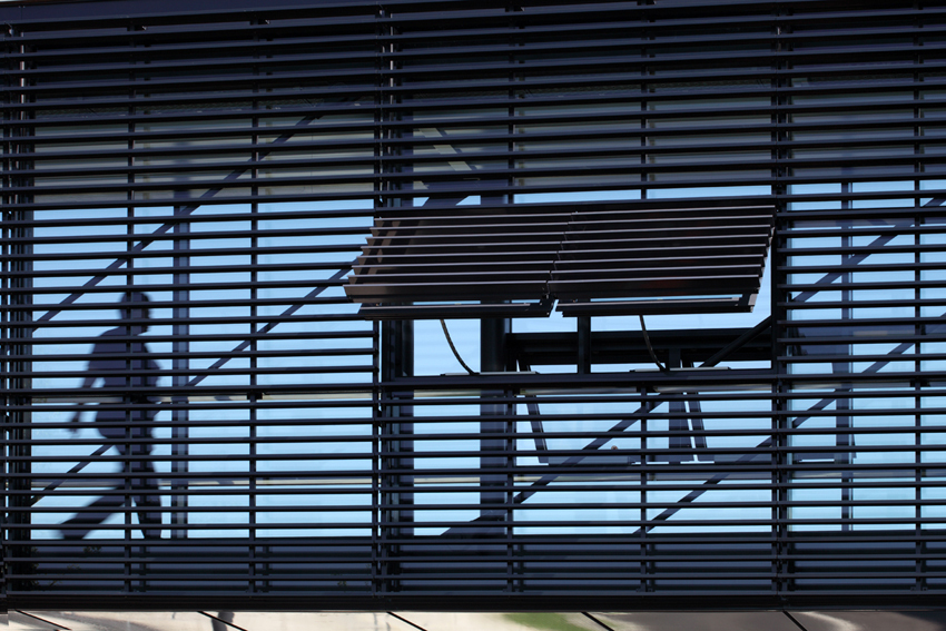 Ein Foto von Gisela Erlacher