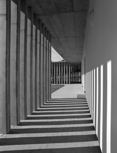 Ein Foto von Tamás Czigány