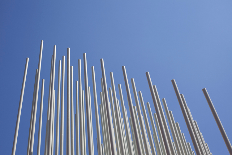 Ein Foto von Lard Buurman