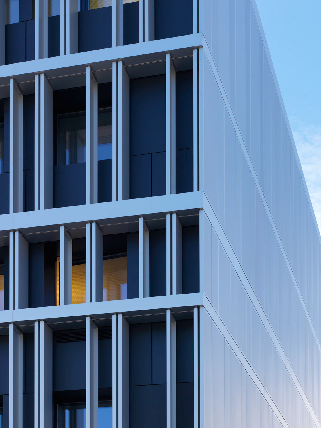 Ein Foto von Ivo Vögel