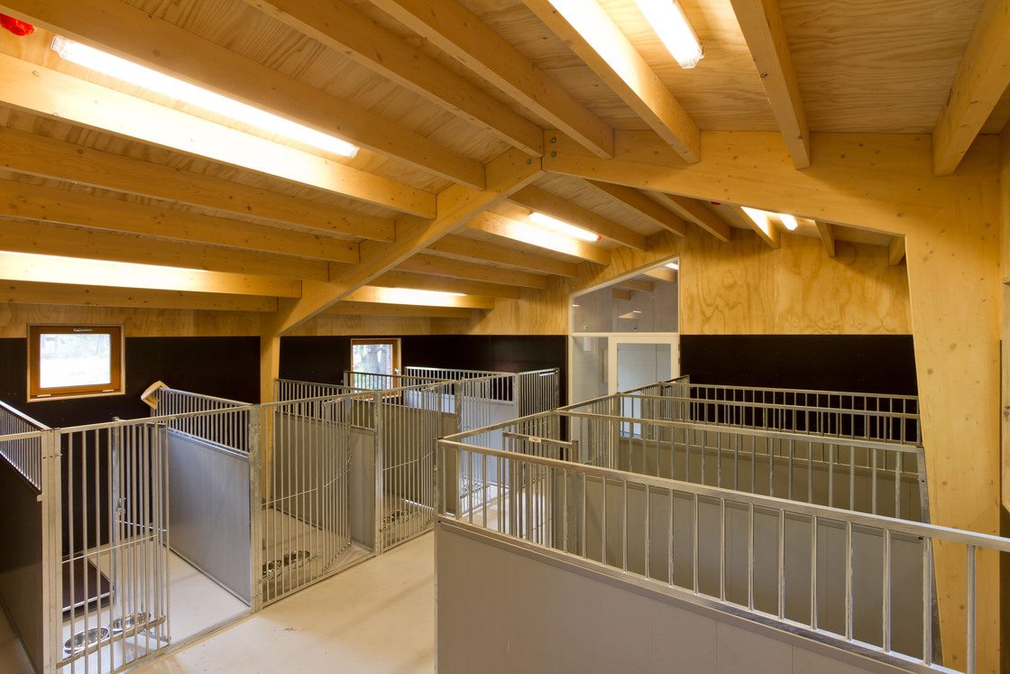 Ein Foto von Peter van der Knoop