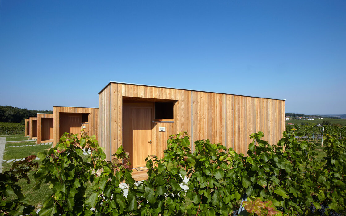 Ein Foto von Lisa Rastl