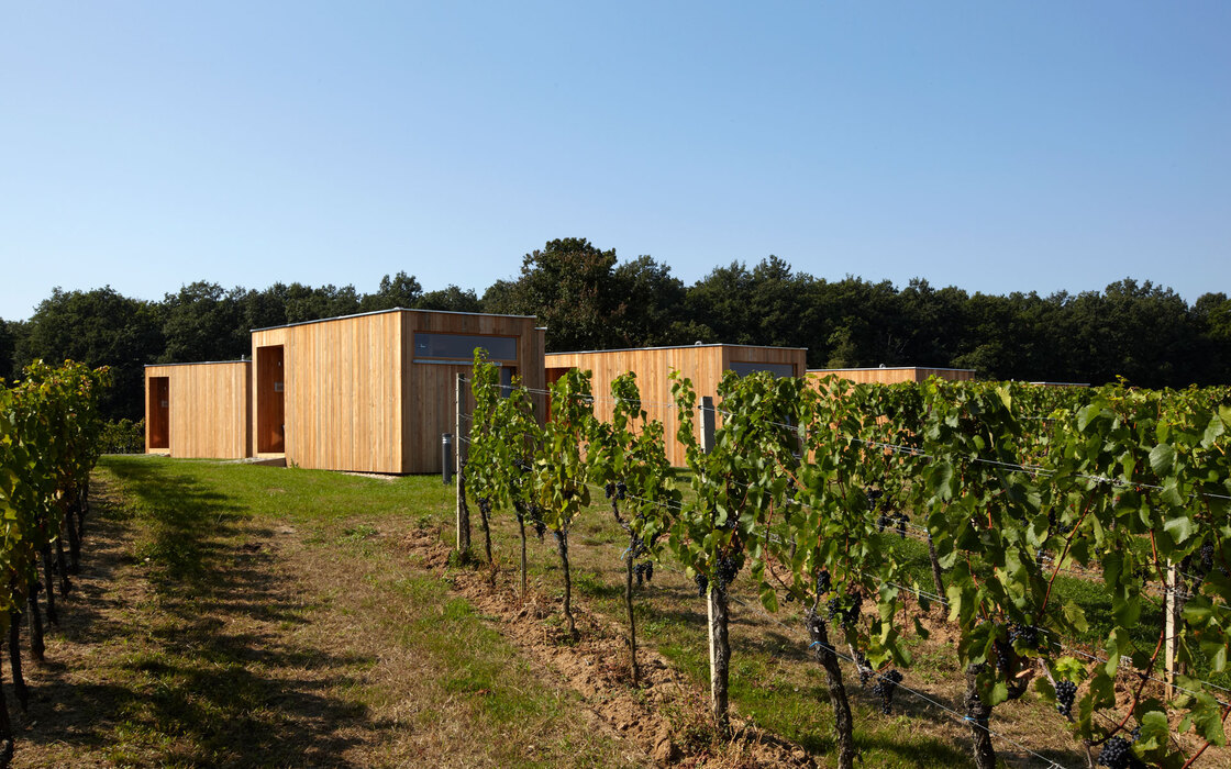 Ein Foto von Lisa Rastl