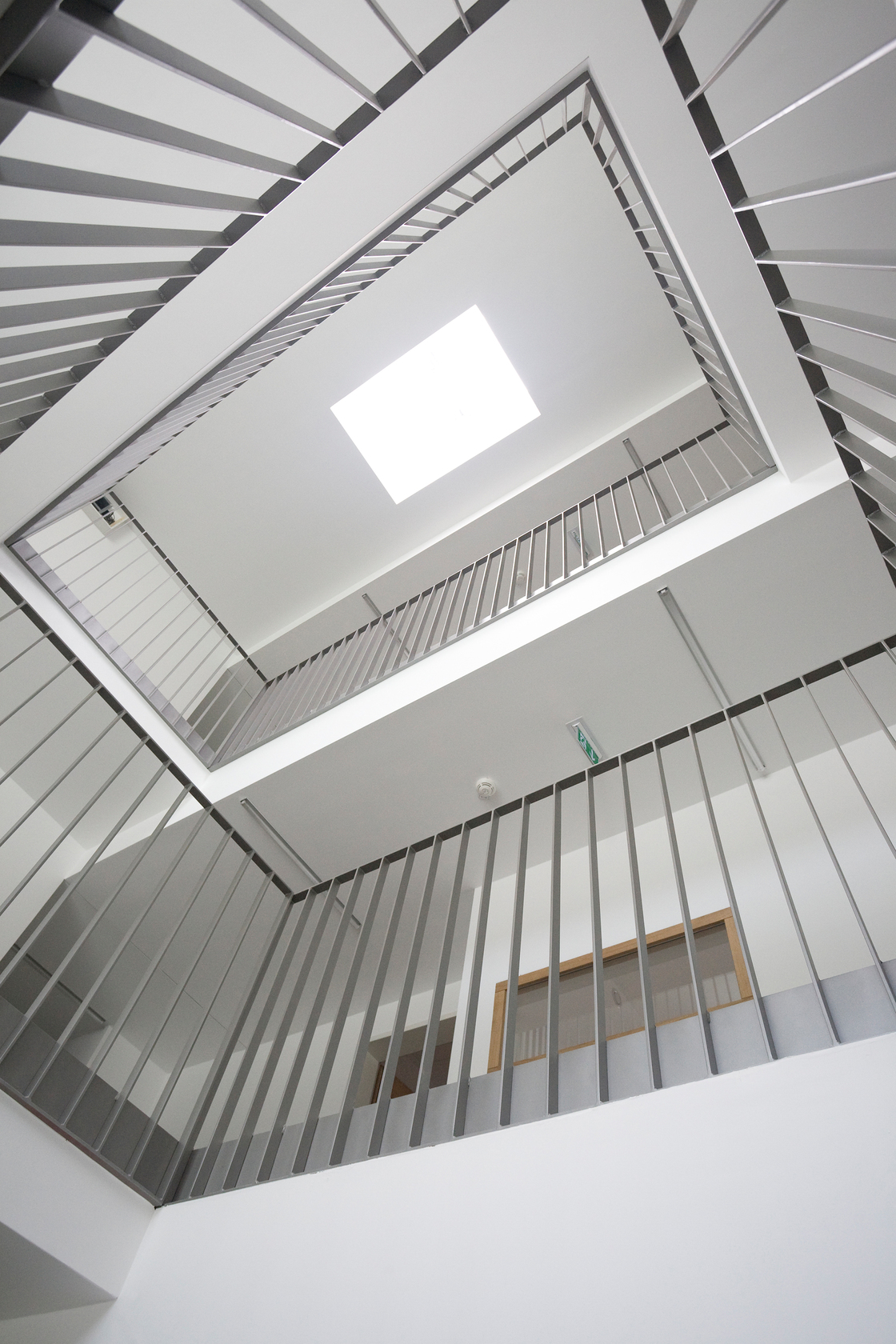 Ein Foto von Nicole Tintera