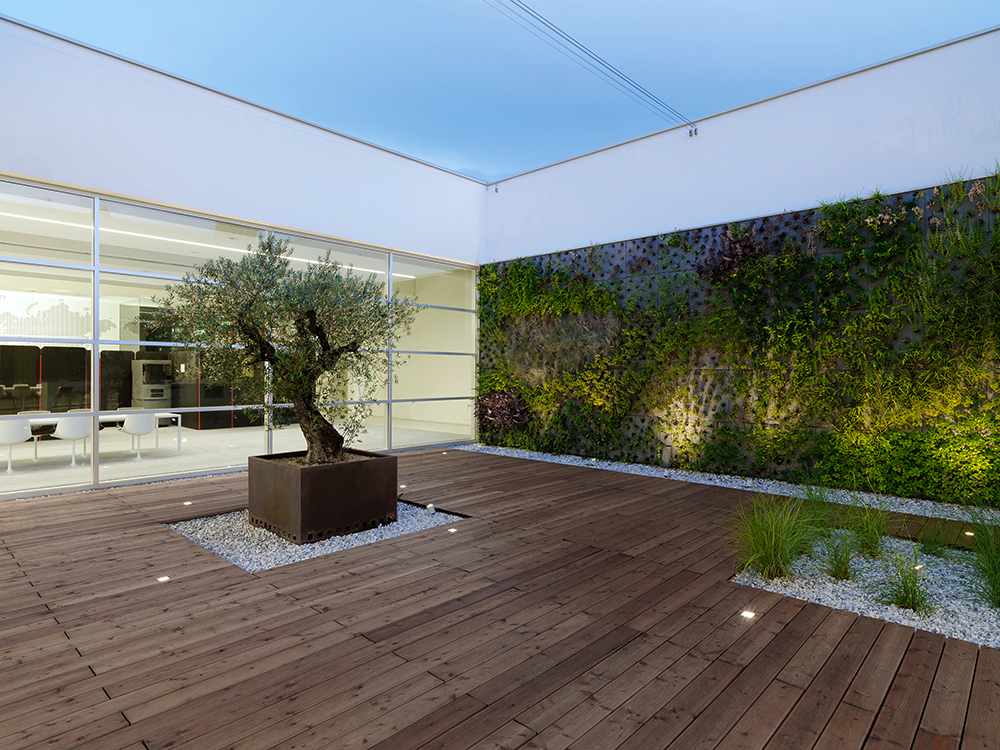 Ein Foto von Paul Ott