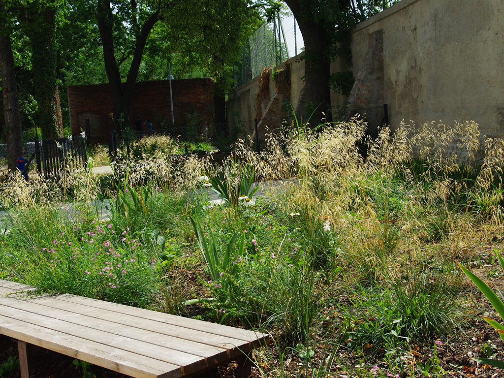 Ein Foto von Robert Luger