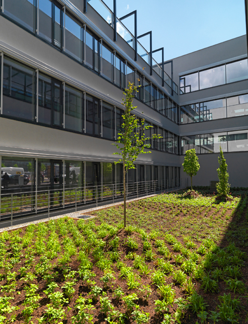 Ein Foto von Martin Steinthaler