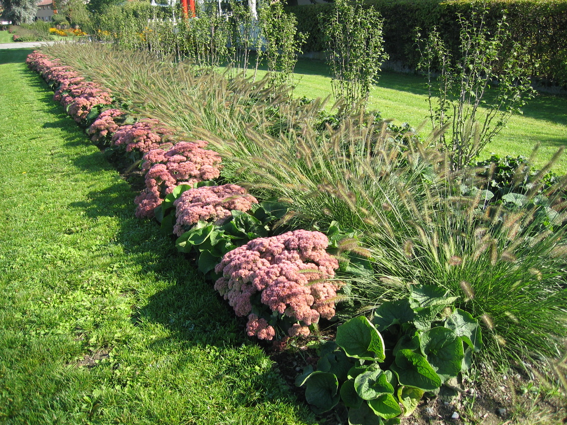 Ein Foto von stadtland