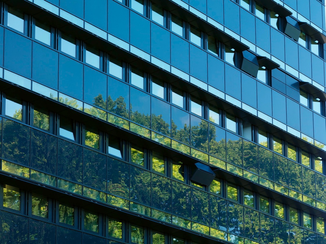 Ein Foto von Paul Ott