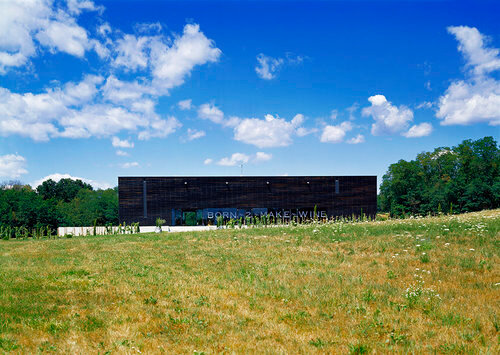 Ein Foto von Gábor Máté