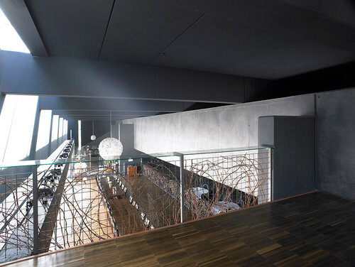 Ein Foto von Gábor Máté