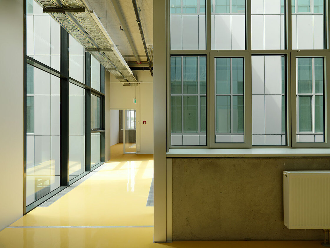 Ein Foto von Paul Ott