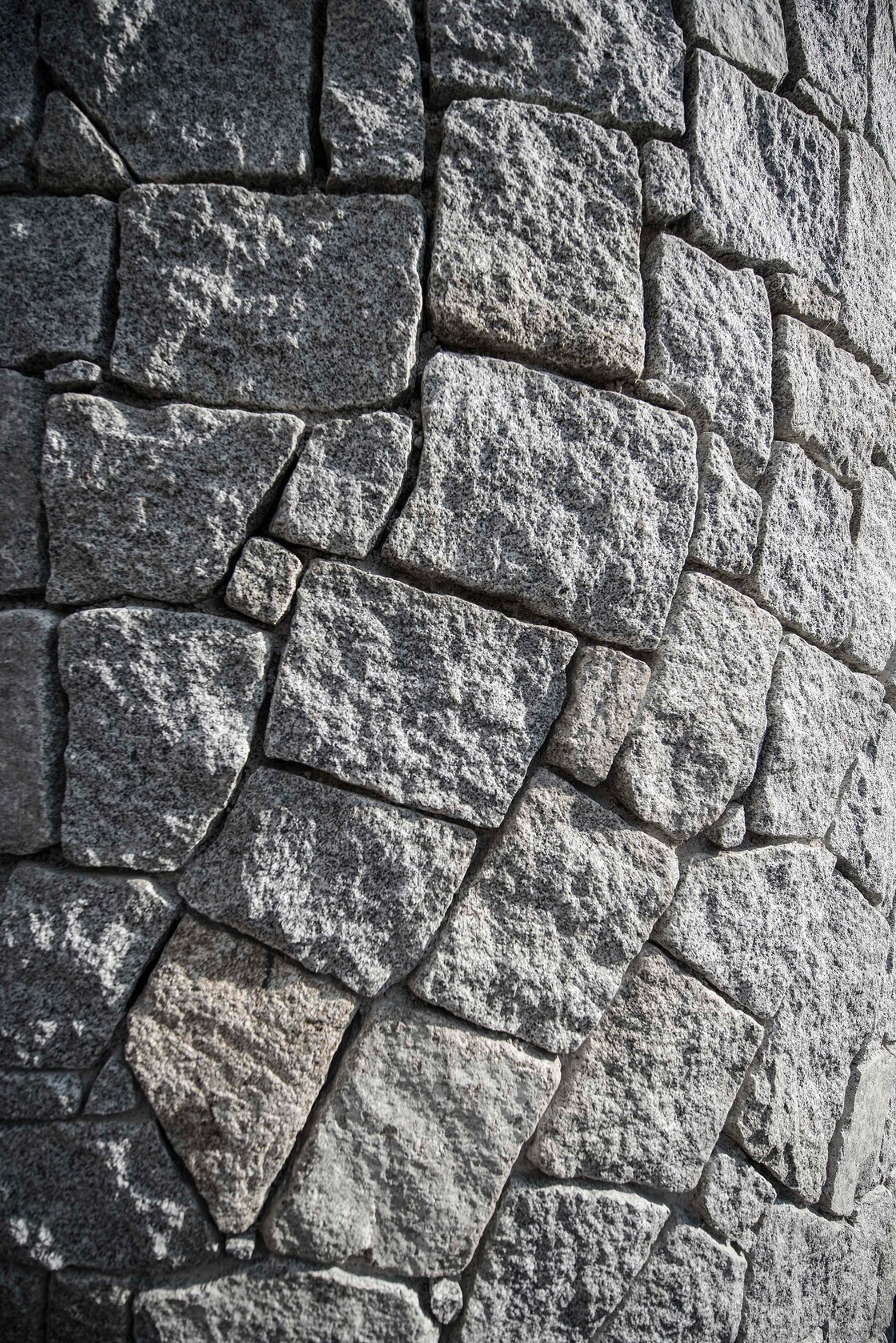 Ein Foto von Dietmar Tollerian