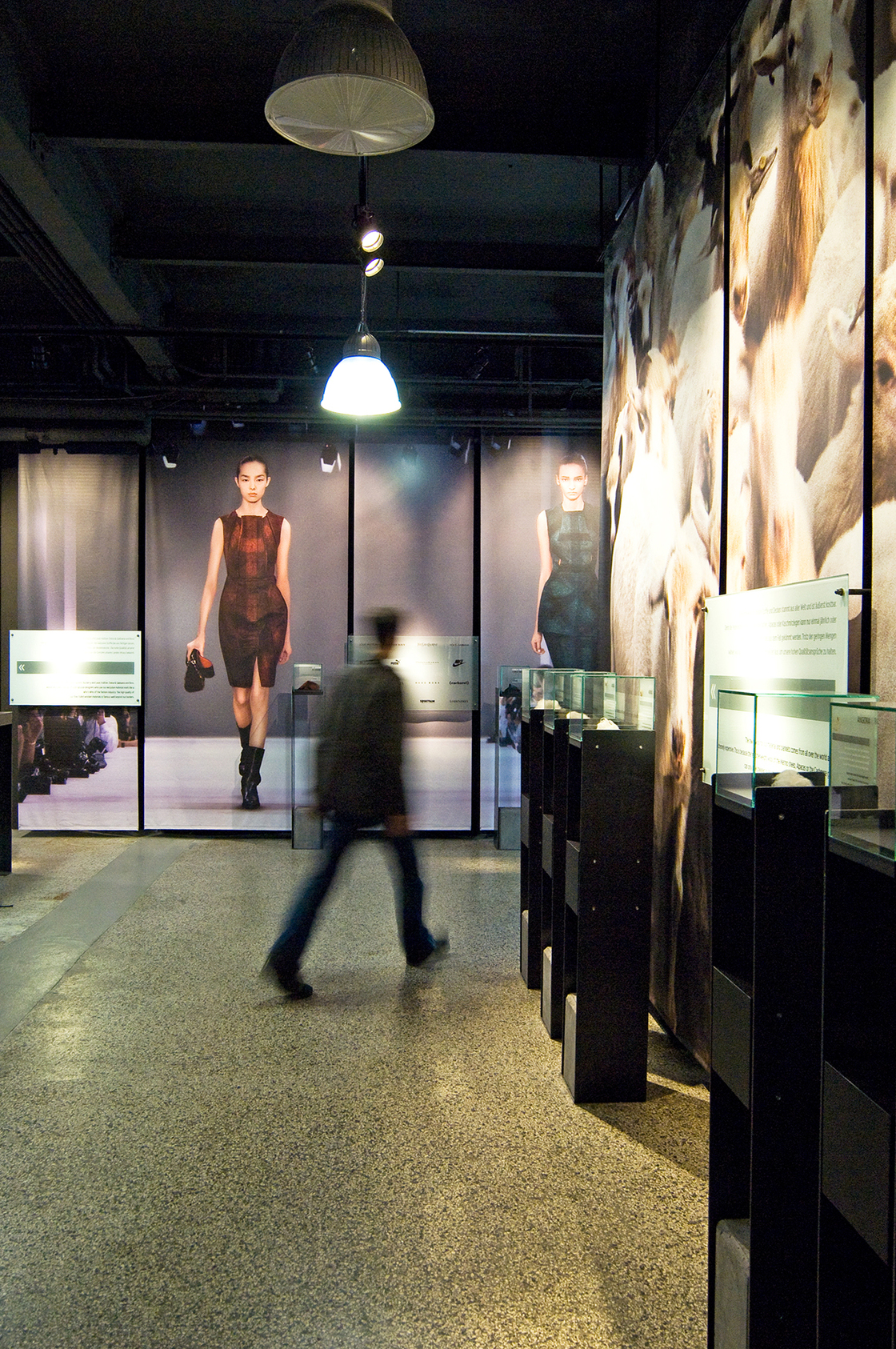 Ein Foto von Susanne Reisenberger-Wolf