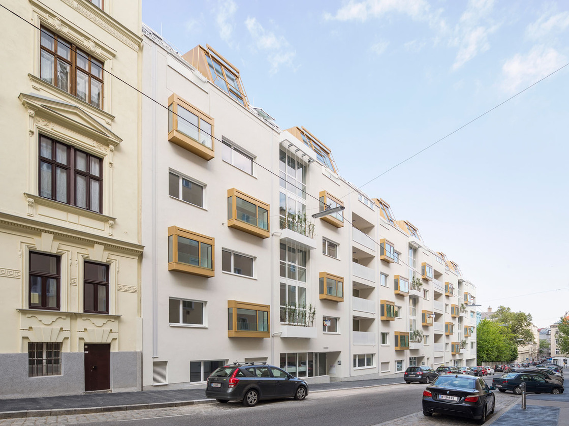 Ein Foto von Maximilian Haidacher