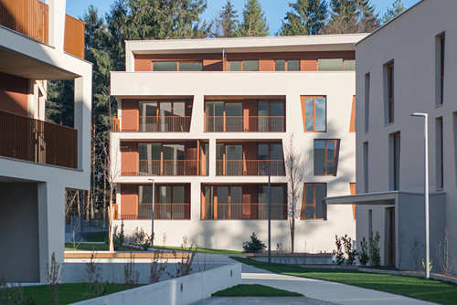 Ein Foto von Simon Schnegg