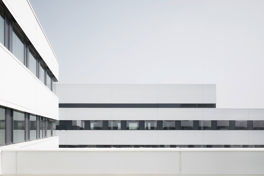 Ein Foto von Brigida Gonzalez