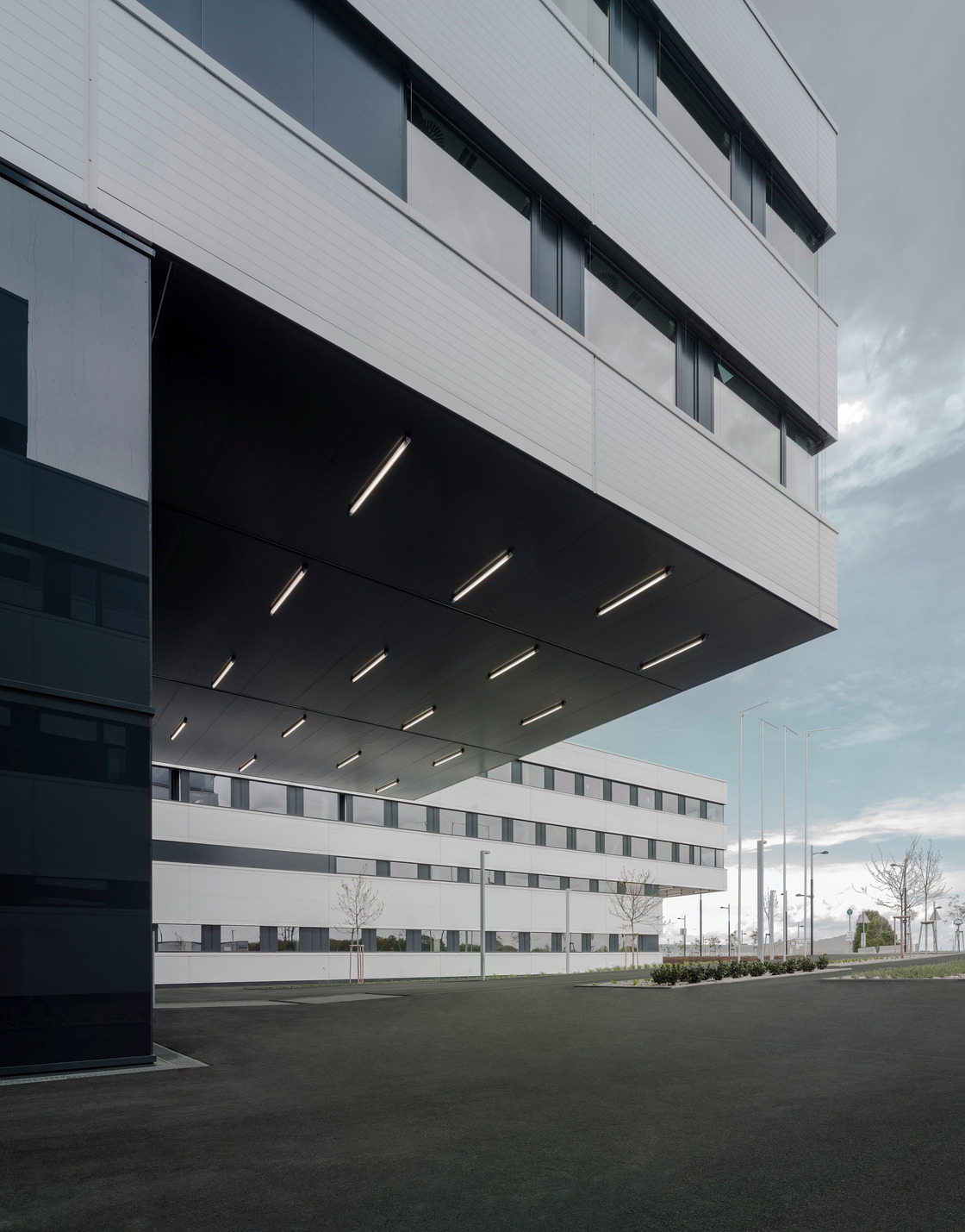 Ein Foto von Brigida Gonzalez