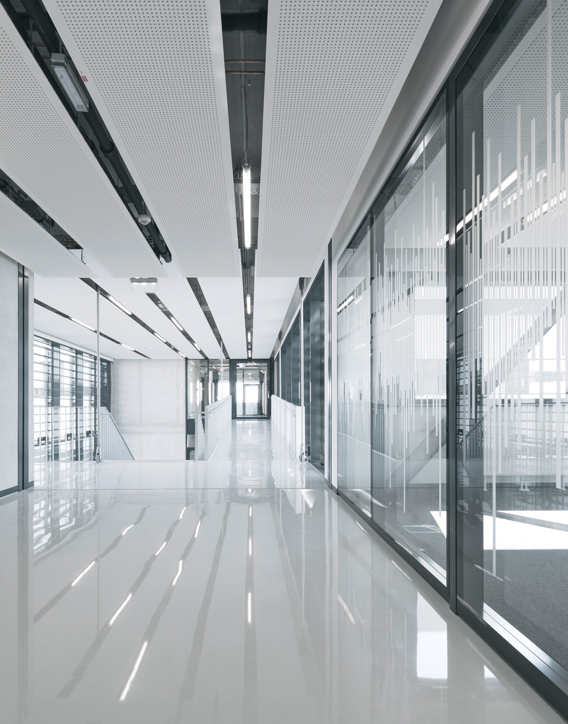 Ein Foto von Brigida Gonzalez