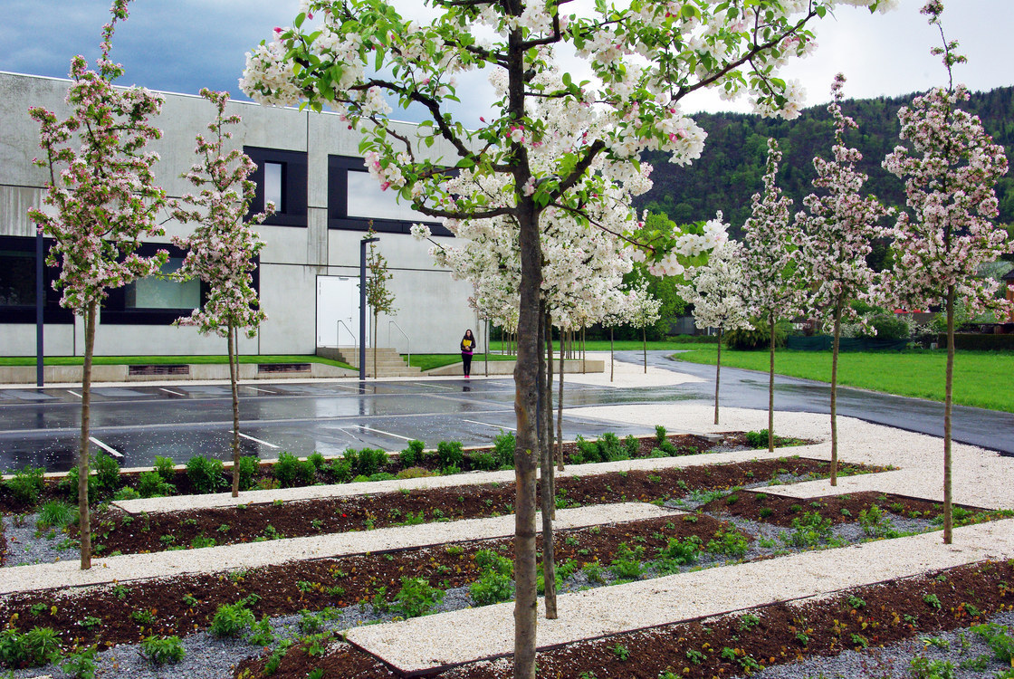 Ein Foto von 3:0 Landschaftsarchitektur